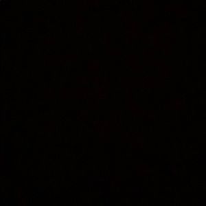 Meet your Posher, Taja